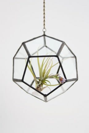 Recycled glass Terrarium