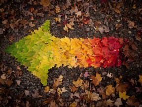 Autumn spectrum