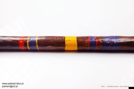 Rainstick