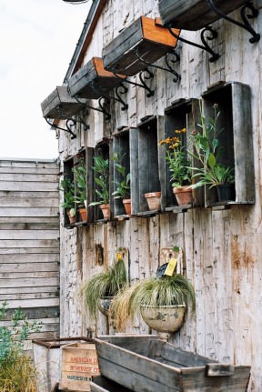 Lovely way to use old crates and lavabos