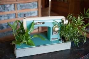 Sew you want an indoor garden ?