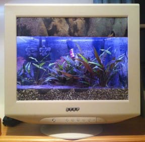 22″ monitor fishtank
