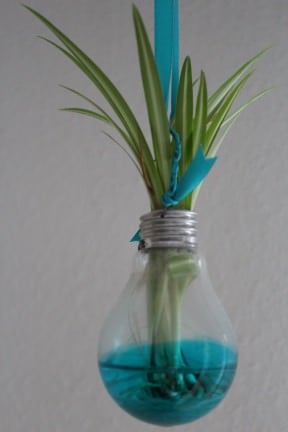 Recycled bulb