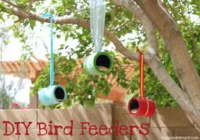 DIY Bird Feeders
