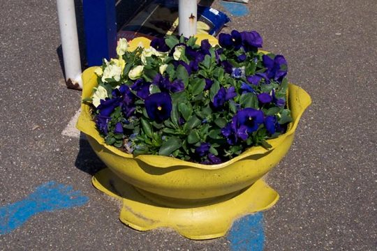 Tyre Planter 1 • Recycled Rubber • Recyclart 100_5078