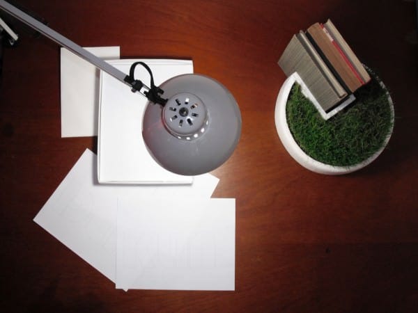 Styrofoam Packaging Into Bookseller Grass 2 &bull; Accessories