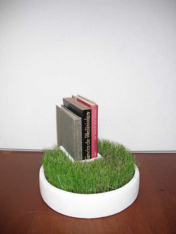 Styrofoam Packaging Into Bookseller Grass 1 &bull; Accessories
