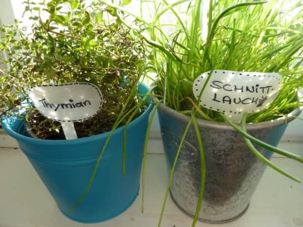 Plant Plugs Made of Shower Gel Bottle 1 &bull; Do-It-Yourself Ideas