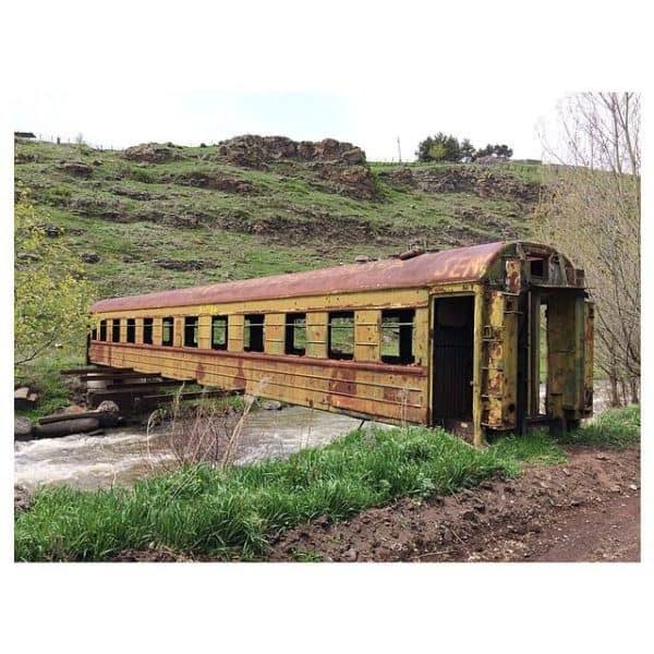 10155719_10150507490909959_5759050407325243107_n