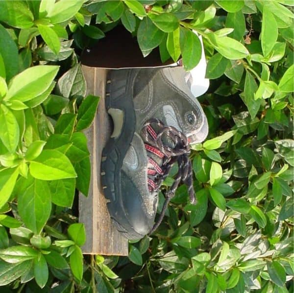 il_fullxfull.45281227