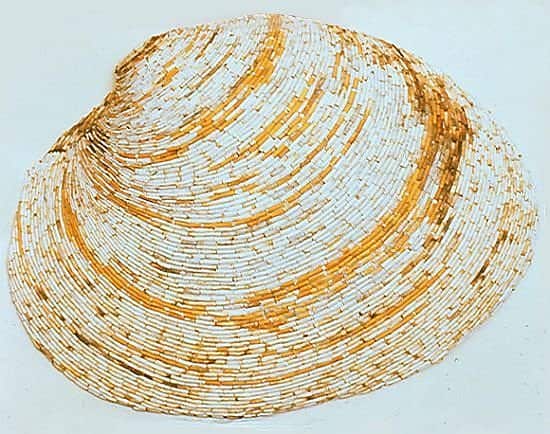 recycled-cigarettes03