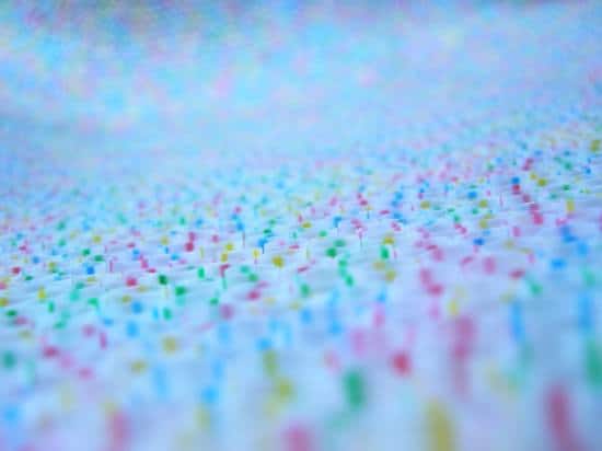 clutch_04_Jarvie clutch_04_Jarvie