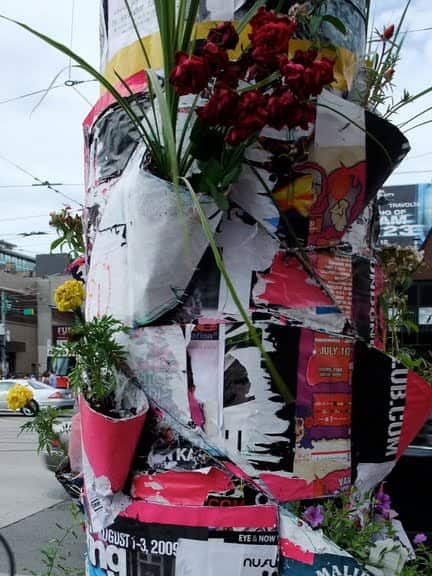 poster pocket plants