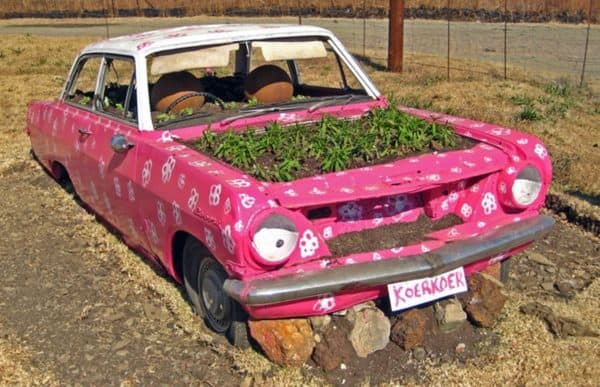 Old Car Reused Into Pink Planter 1 &bull; Garden Ideas