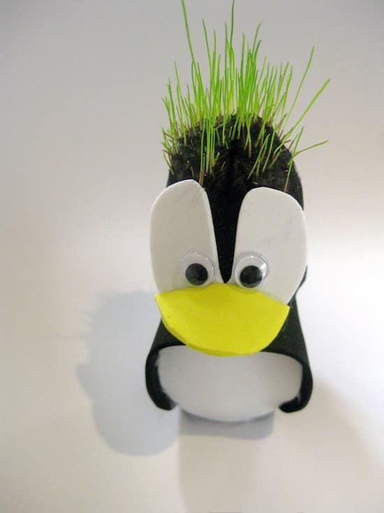 Green Penguin 1 &bull; Accessories