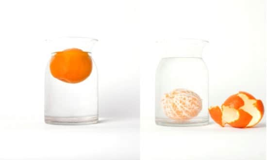 Simple Science 1 &bull; Do-It-Yourself Ideas