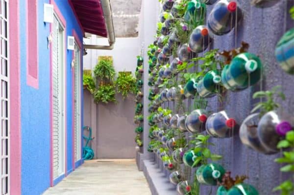 Plastic Bottles Garden 1 &bull; Do-It-Yourself Ideas