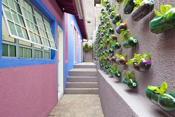 Plastic Bottles Garden 3 &bull; Do-It-Yourself Ideas