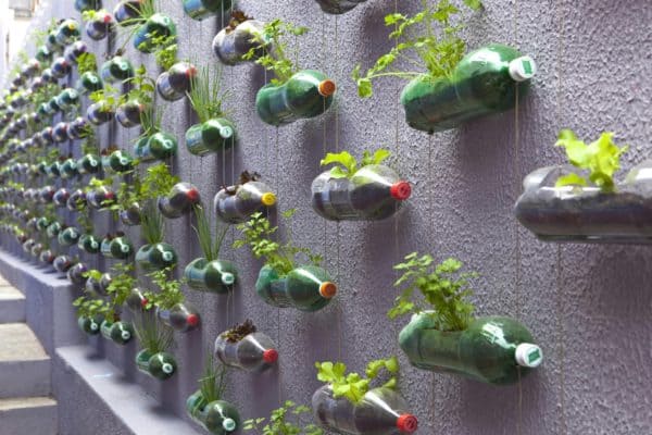 Plastic Bottles Garden 7 &bull; Do-It-Yourself Ideas