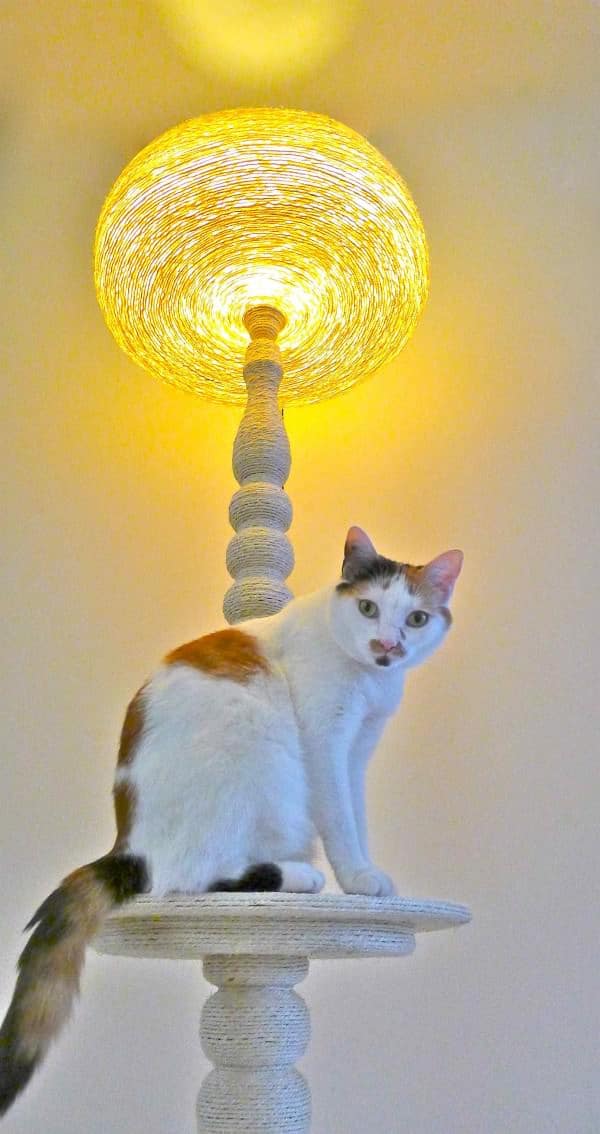 Lighting Cat Tree 1 &bull; Lamps & Lights
