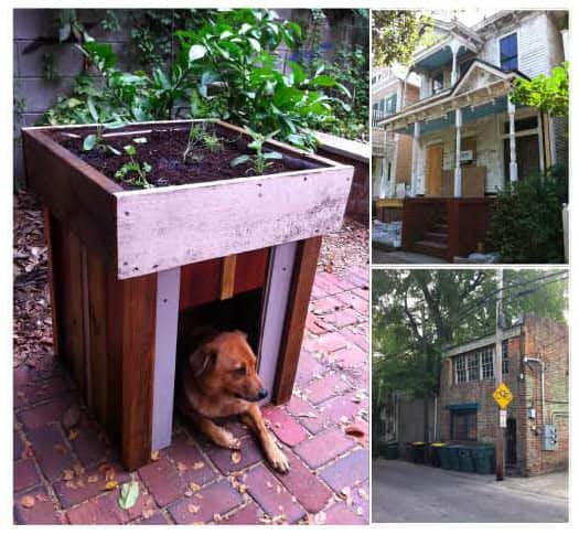 Dog House with a Rooftop Garden 1 • Wood & Organic • Recyclart doghouse-to-delete