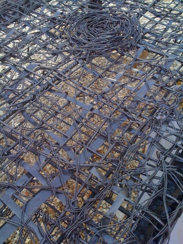 460066_10150598661366332_721941331_9355948_194167334_o