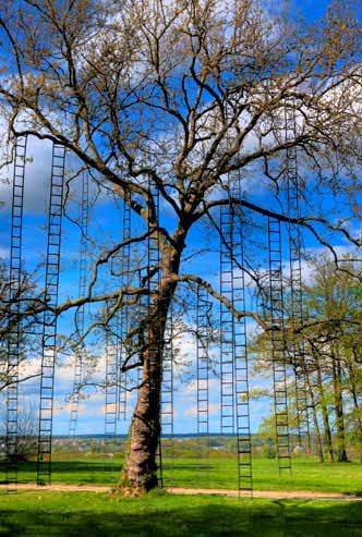 L'arbre Aux Echelles / Ladders Tree 3 &bull; Garden Ideas