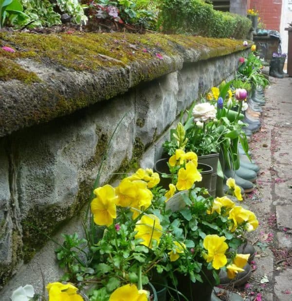 Welly Road Get the Boot in 5 &bull; Accessories