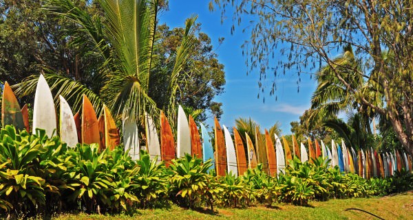Repurposed Surfboard Fence &ndash; Endless Summer 1 &bull; Garden Ideas