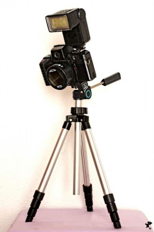 427699_10150511374571631_115198230_n