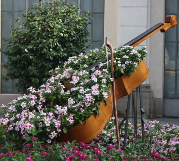 Cello Planter 1 &bull; Garden Ideas