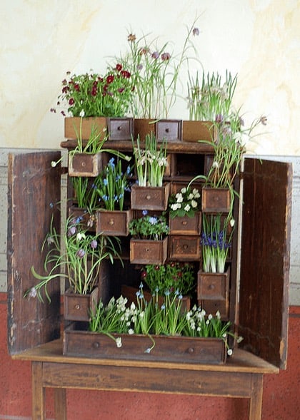 Cupboard Mini Garden 1 &bull; Do-It-Yourself Ideas