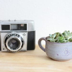 Ceramic Cup Succulent 7 &bull; Recycled Art