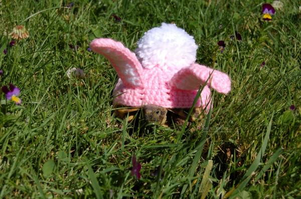 il_fullxfull.513820452_ntaw