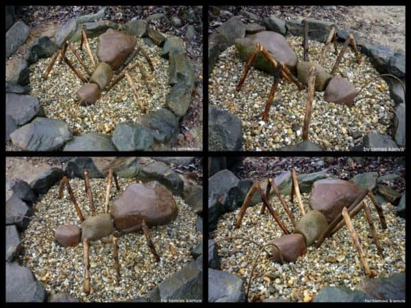 land_art_stone_ant_in_hungary_by_tamas_kanya_by_tom_tom1969-d72bq0n