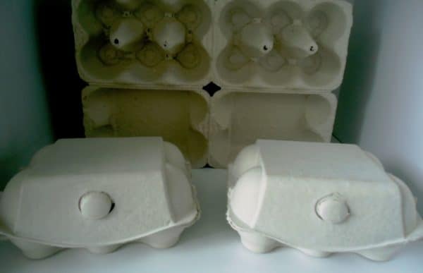 egg-paper-boxes