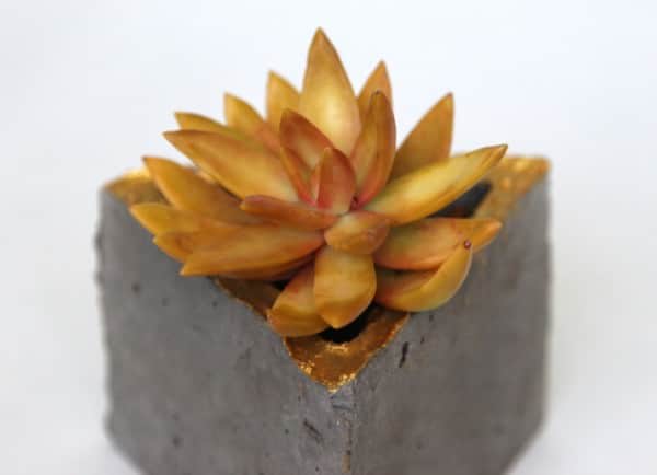 apieceofrainbow9-11w