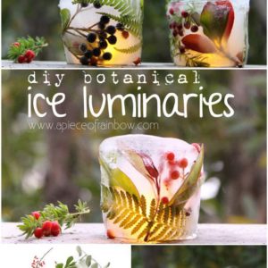Make Botanical Ice Luminaries 17 &bull; Do-It-Yourself Ideas