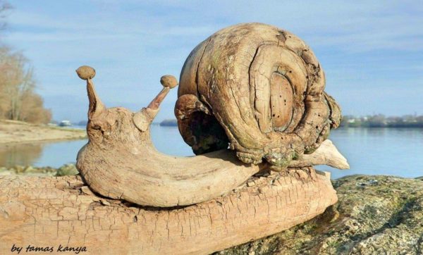 kepatmeretezes_hu_05