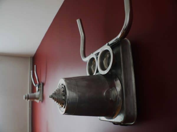 trophee-taxidermique-3