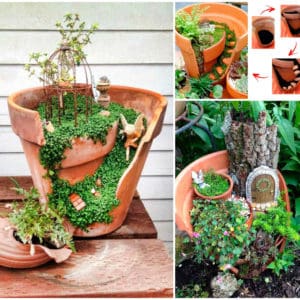 Beautiful Idea For Reusing Broken Clay Pot / Lindas Ideias Para Reaproveitar Vasos De Flores 1 &bull; Do-It-Yourself Ideas