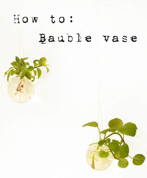 bauble-plant-how-to