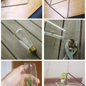 Brass Pipe Light Bulb Planter 1 &bull; Do-It-Yourself Ideas