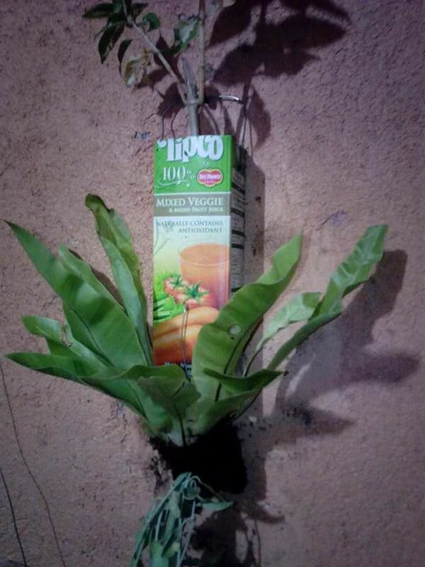 1148761_1658326231057623_3421898196354559237_n