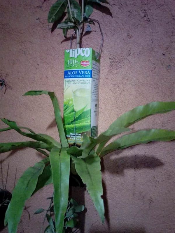 11667373_1658326284390951_7126376242366746110_n