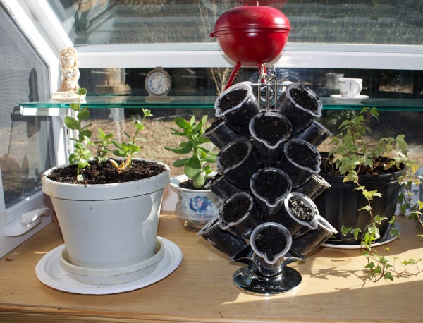 recyclart.org-a-vue-to-an-herb-garden