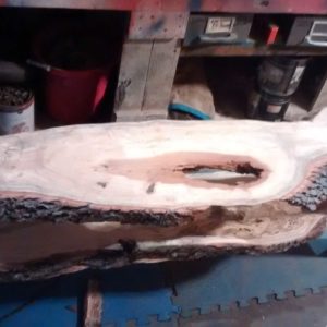 Live Edge Gum Bench 19 &bull; Wood & Organic