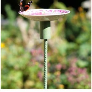 Old Saucer Into Butterfly Feeding Place 5 &bull; Clothing & Accessories