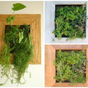 Scrap Wood Into Decorative Wood Frame Planters 1 &bull; Wood & Organic