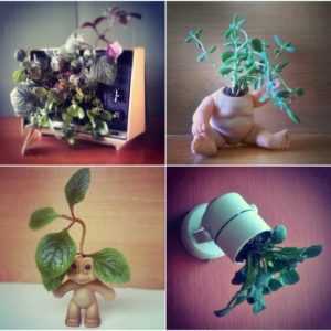 Upcycled Planters From Unusual Objects 3 &bull; Wood & Organic